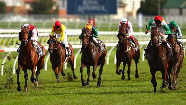 The Best Horse Betting Sites For Australian Players