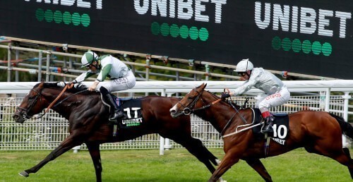 Unibet Australia Horse Racing Guide 2020