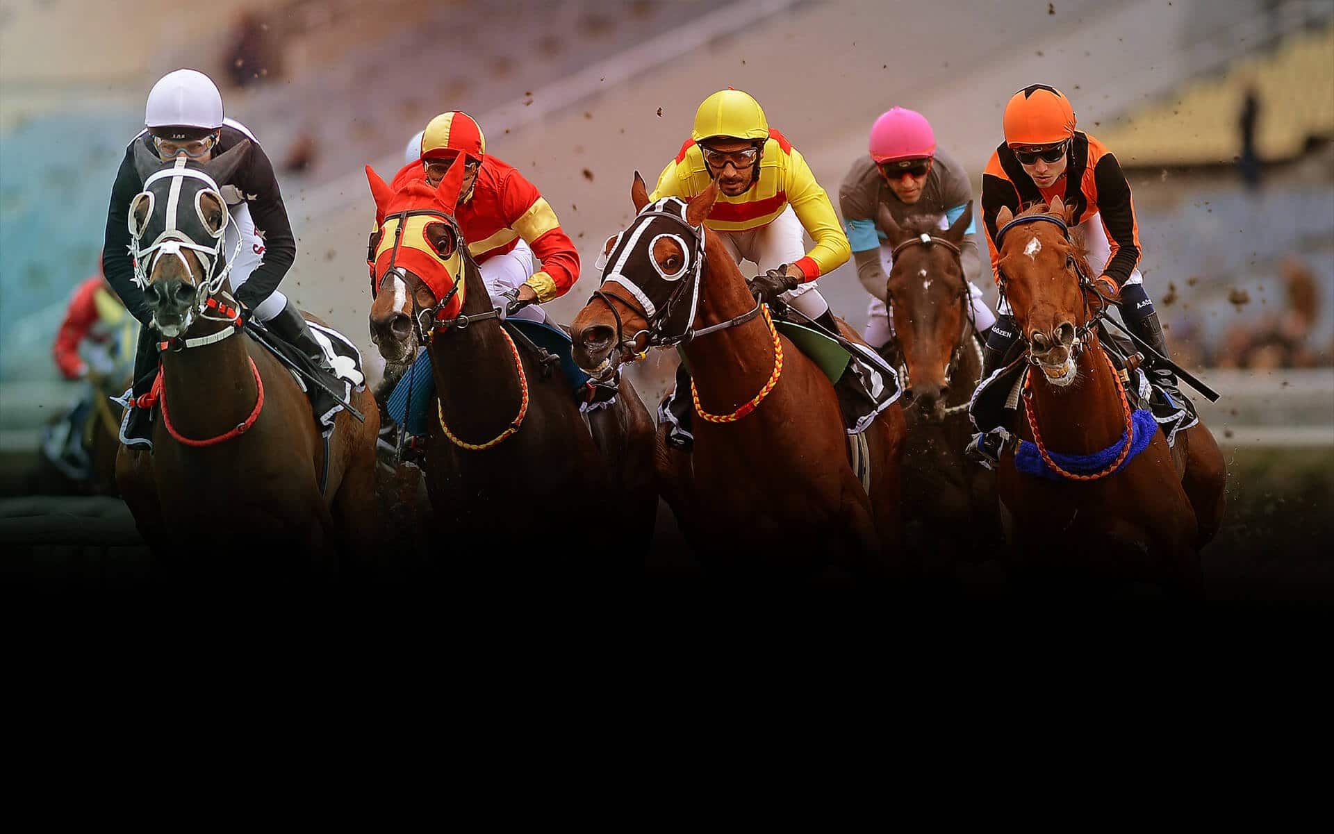 At yarışı tahminleri February 2026