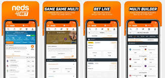 Neds Multi-Builder Feature and More